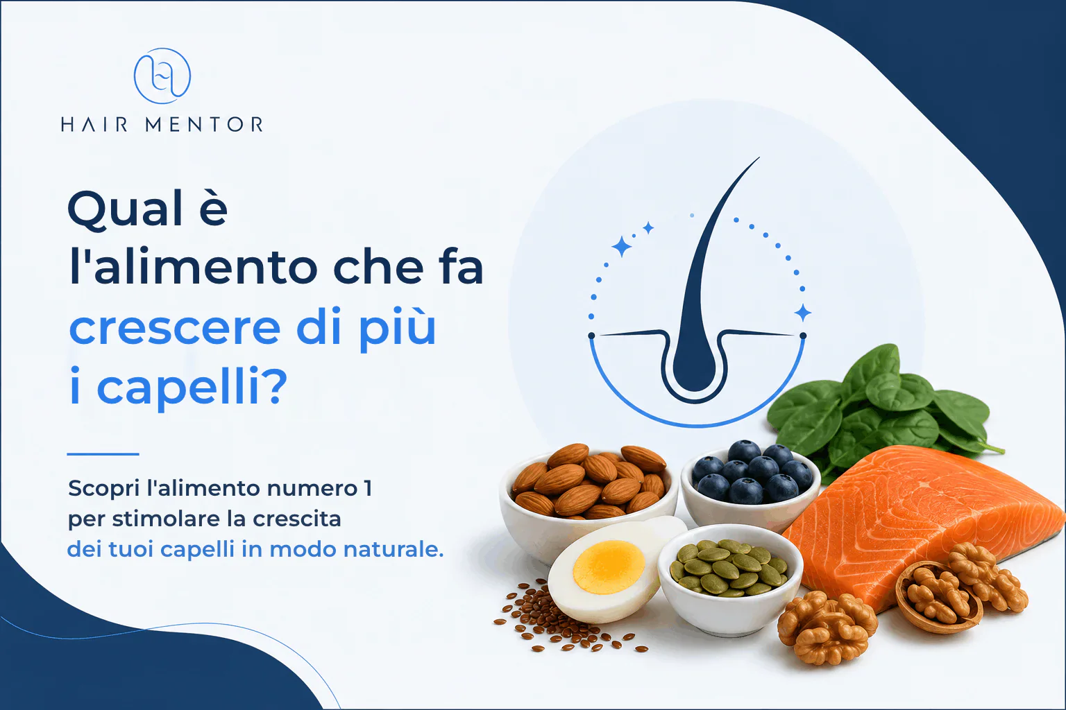 Schema di un follicolo pilifero accanto a frutta secca, salmone, uova e verdure