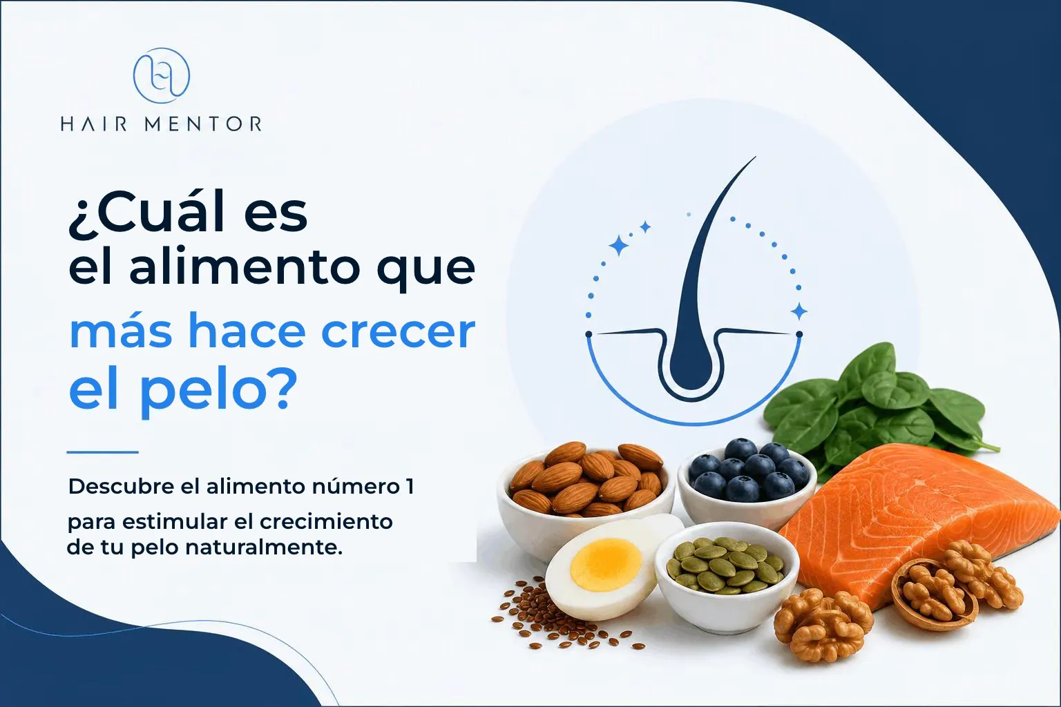 El alimento que más hace crecer el pelo